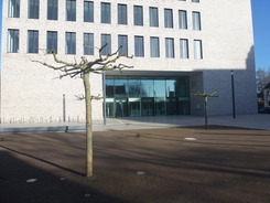 Eingang mit Baum Eingang mit Baum
